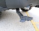 REAR PEDAL FOR RAM 1500 2019/TRX (ALU ALLOY BOARD)